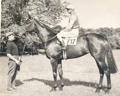 Horse And Jockey