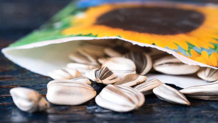 19 Beginner-Friendly Flowers to Grow From Seeds (Ideal for Plant-Challenged Individuals)