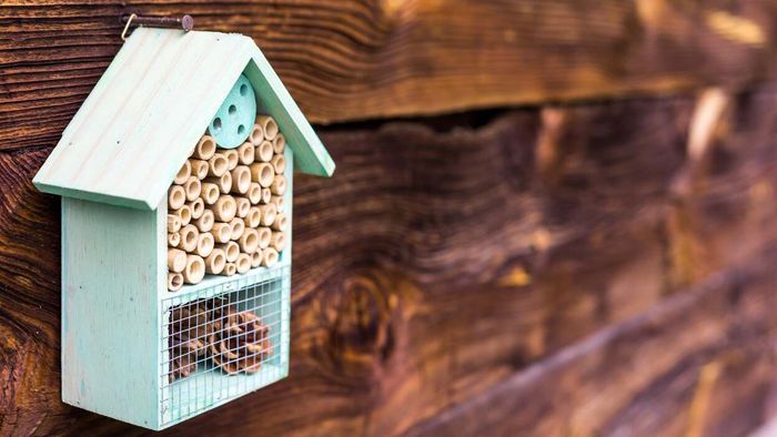 Building a Mason Bee House for Your Garden