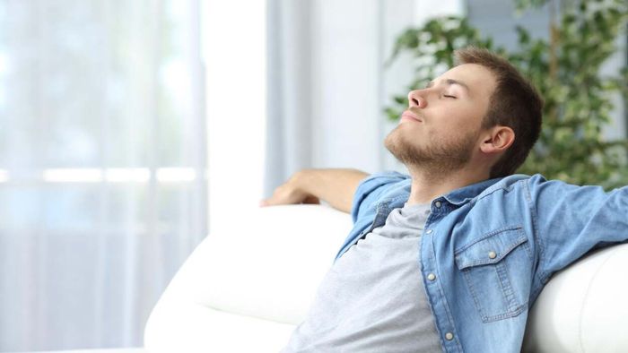 Five Strategies to Enhance Air Quality in Your Living Space