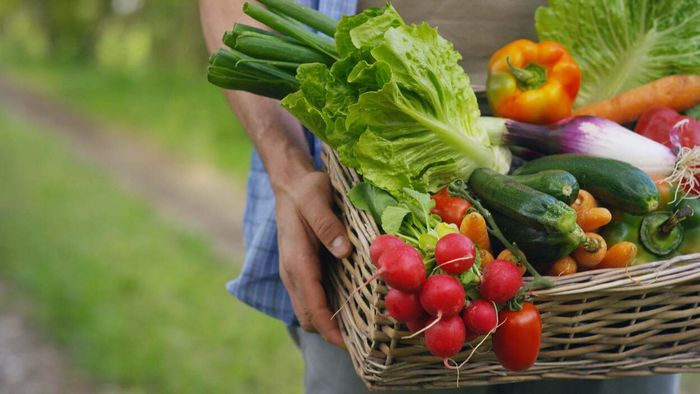 14 Beginner-Friendly Bumper Crops for Your Garden (and When to Plant Them)