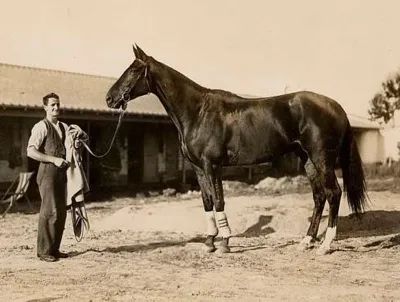 Phar Lap