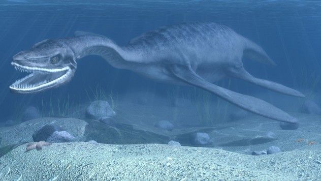 plesiosaurus_by_vukaddin-d4pwic9