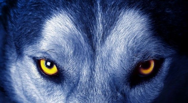 lycan - urban legends - spellbound series - moonlight