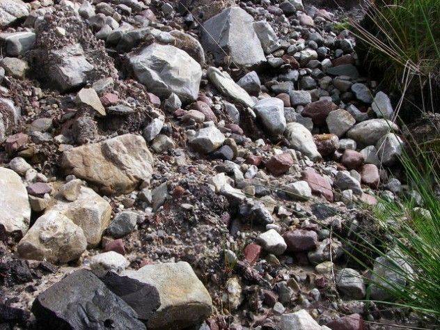 rocks
