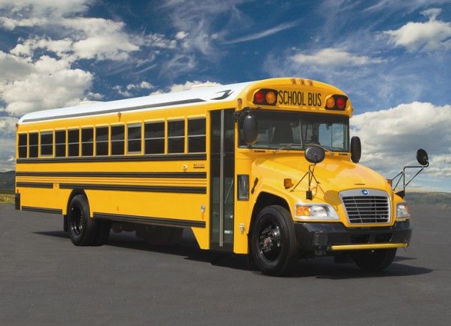 bus