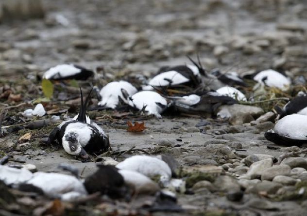 Screen Shot 2013-06-02 At 5.40.32 Pm
