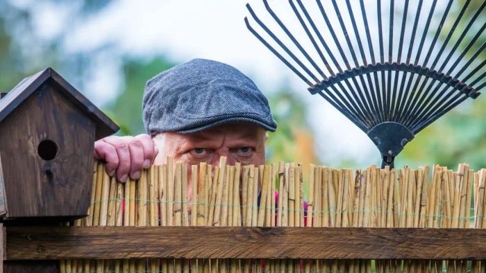 How Can You Tackle the Negative Effects of Airbnb on Your Community?