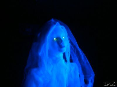 Ghost Bride