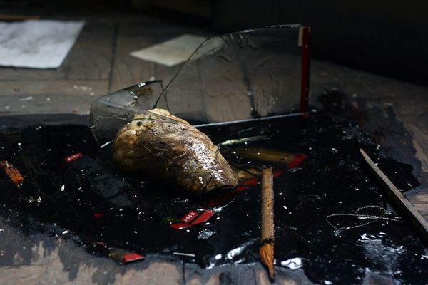 5121756674 23C492Bb98 Z