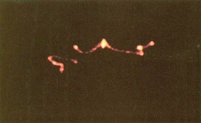 Ufo-Reports-054