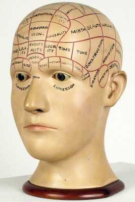 Phrenology Head
