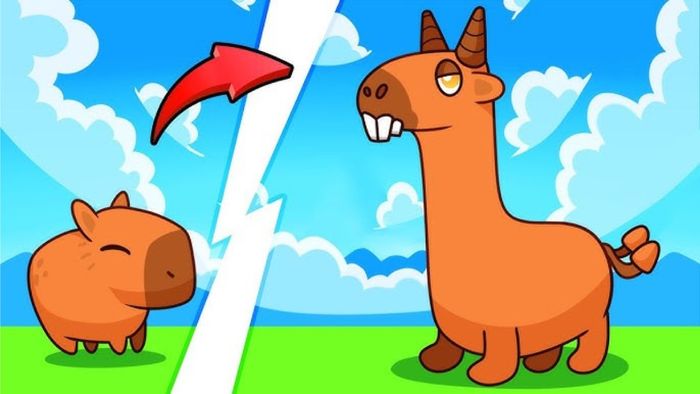 Những điều cần lưu ý khi sử dụng code Capybara Evolution