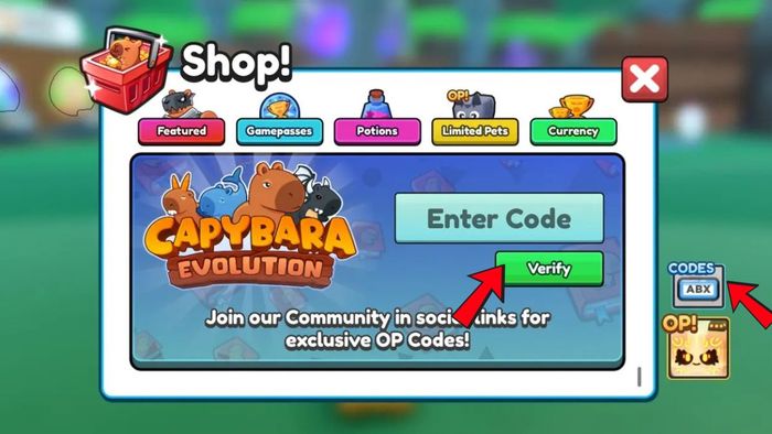 Hướng dẫn chi tiết cách nhập code Capybara Evolution - bước 2