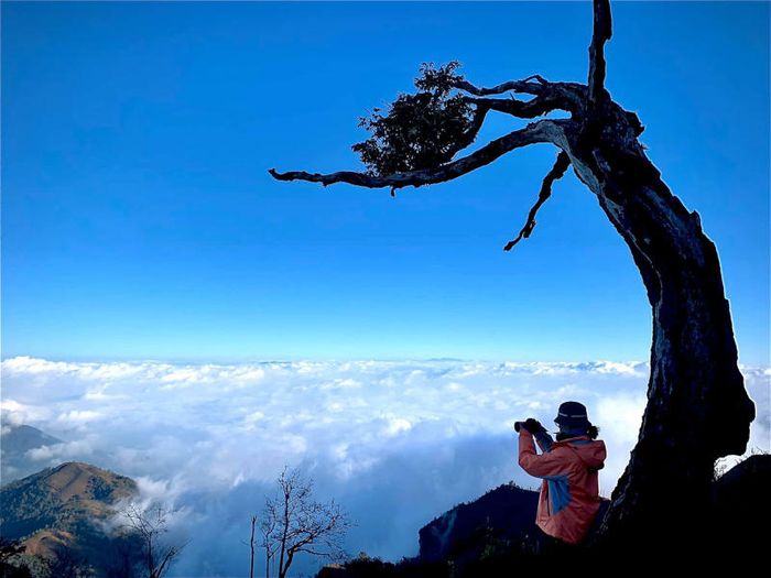 Đắm chìm trước vẻ đẹp của núi Lão Thẩn tại Y Tý