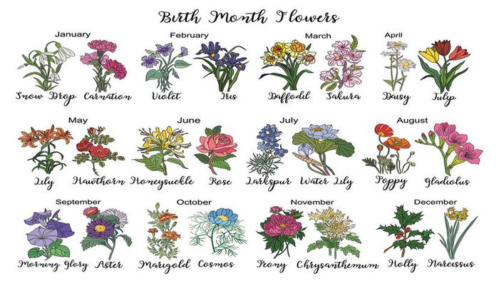 monthly birth blossoms