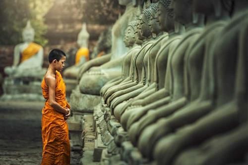 Mục đích của những cuộc gặp gỡ trong đời