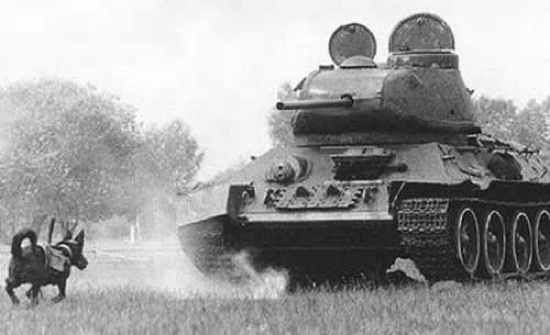 156950,Xcitefun-Weapon-3