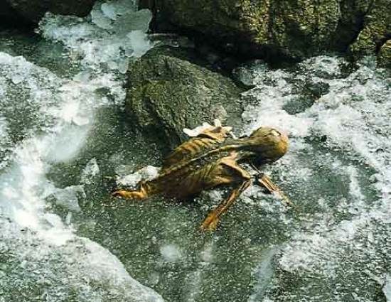 Otzi Ice2