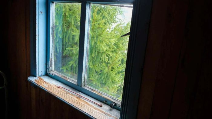 Apply lubricant to your window guides