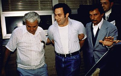 berkowitz_arrest102