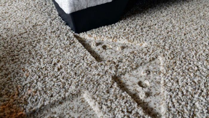 Eliminate carpet dents using ice
