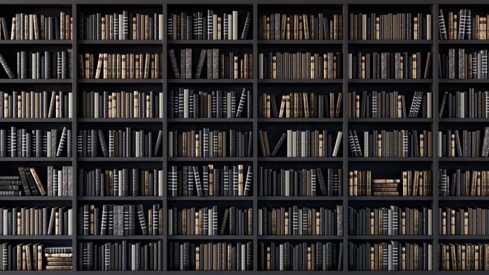 No visible books