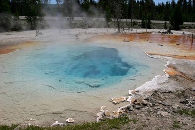 Dvd060-19Jun08-Yellowstone-Celestine-Pool-19