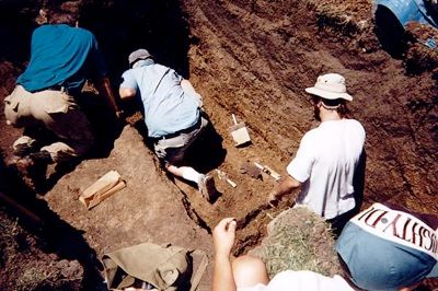 Dig Site