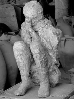 Plaster Cast-Pompeii