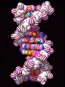 Dna Toys