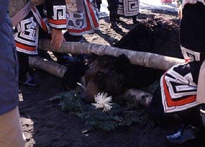 Bear Choked To Death.Jpg
