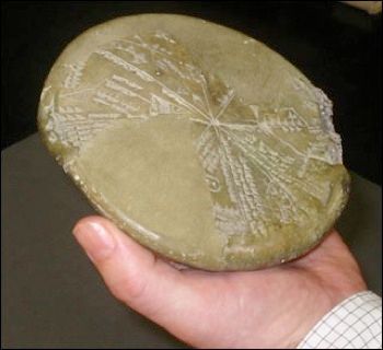 Scitablet131A.Jpg