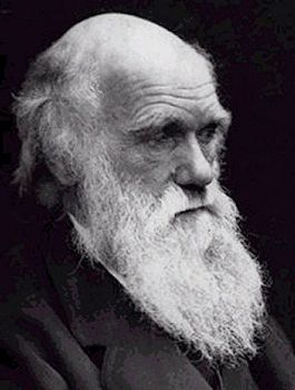 Charles Darwin L