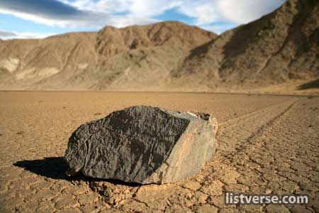 Racetrack Playa Pirate Scott