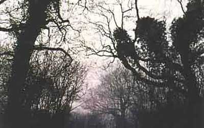 Claphamwood