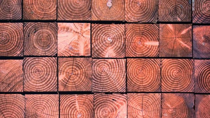 Identifying Pressure-Treated Wood and Its Significance