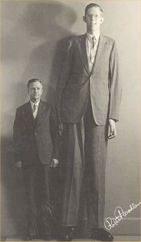 Robert-Wadlow