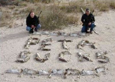 Peta Rabbits