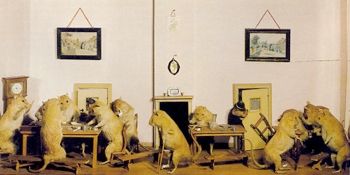 Rats-1