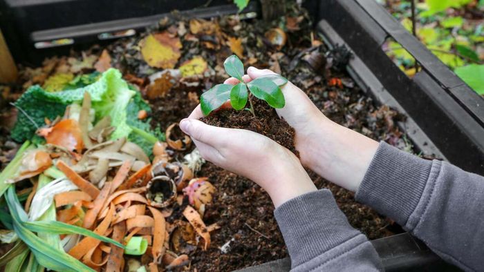 Start a compost bin