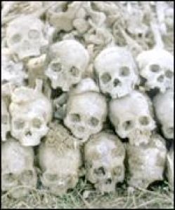Skulls