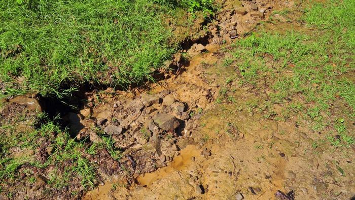 Minimize soil degradation