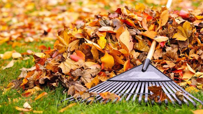 6 Practical Methods to Make Use of the Leaves on Your Lawn (Instead of Tossing Them Out)