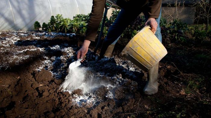 Why Garden Lime is a Must-Have for Your Fall Gardening Routine