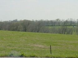 Field