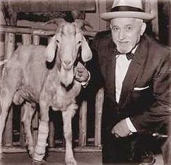Billygoatgoat