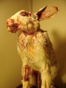 Rabbit2