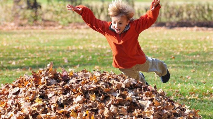 Build a leaf mound for playful fun