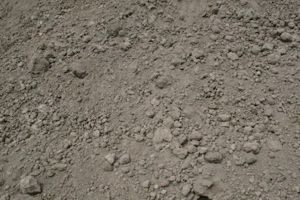 Filldirt